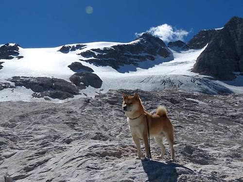安热中场核心引领节奏变化